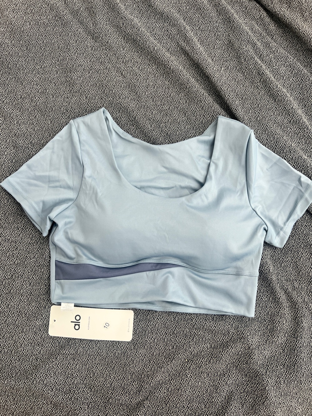 ALO Yoga Light Blue Short Sleeve Seamless Sports Crop
